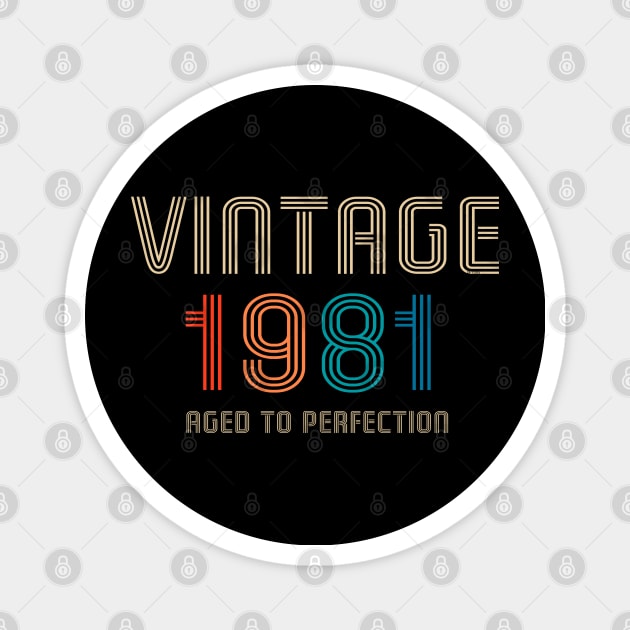 Vintage 1981 Aged to Perfection 40th birthday gift Magnet by Salt88